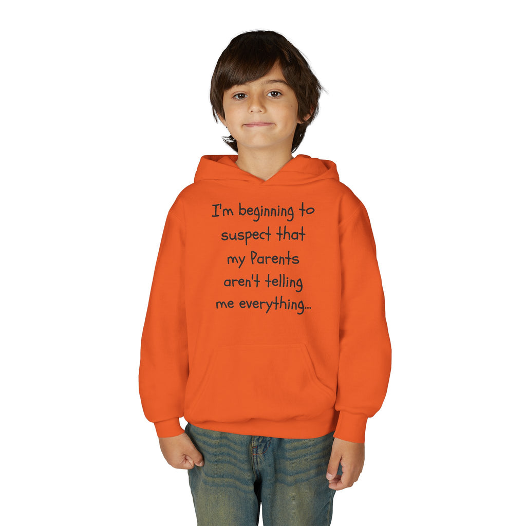 Youth Hoodie — "I'm beginning to suspect that my Parents aren't telling me everything." Funny Kid Hoodie