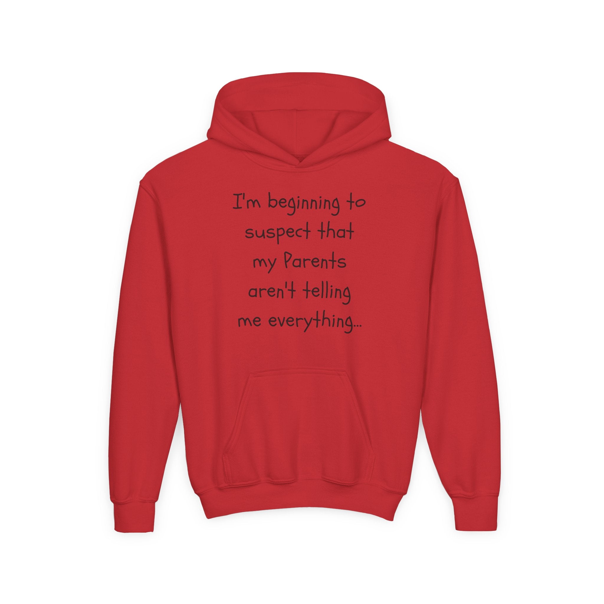 Youth Hoodie — "I'm beginning to suspect that my Parents aren't telling me everything." Funny Kid Hoodie