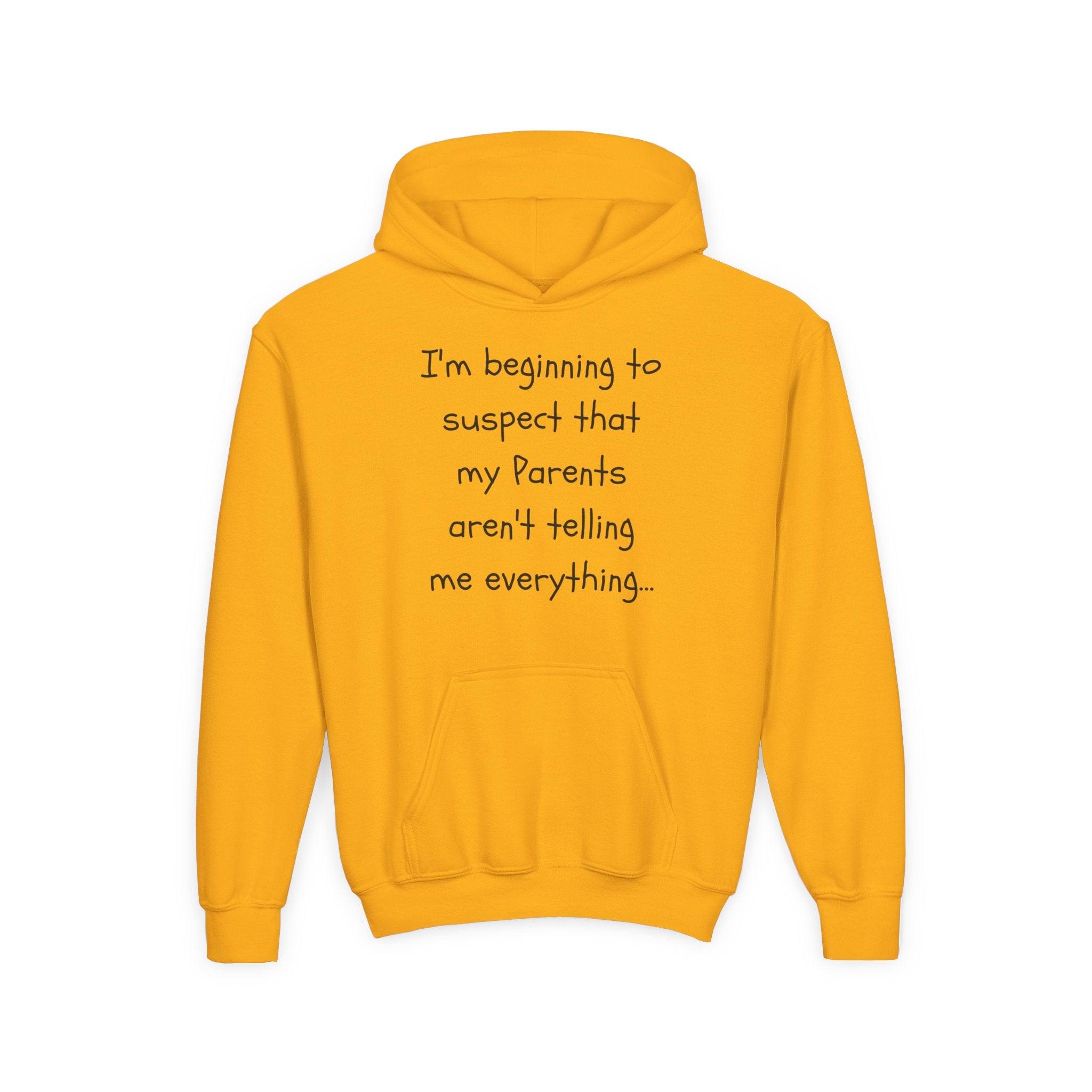 Youth Hoodie — "I'm beginning to suspect that my Parents aren't telling me everything." Funny Kid Hoodie