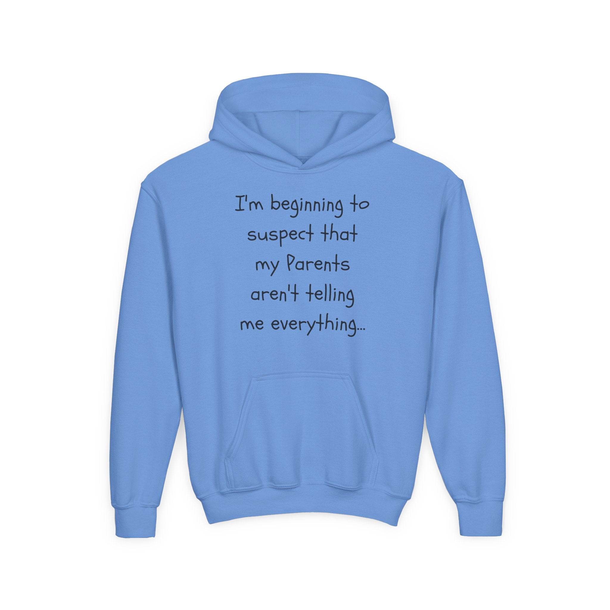 Youth Hoodie — "I'm beginning to suspect that my Parents aren't telling me everything." Funny Kid Hoodie