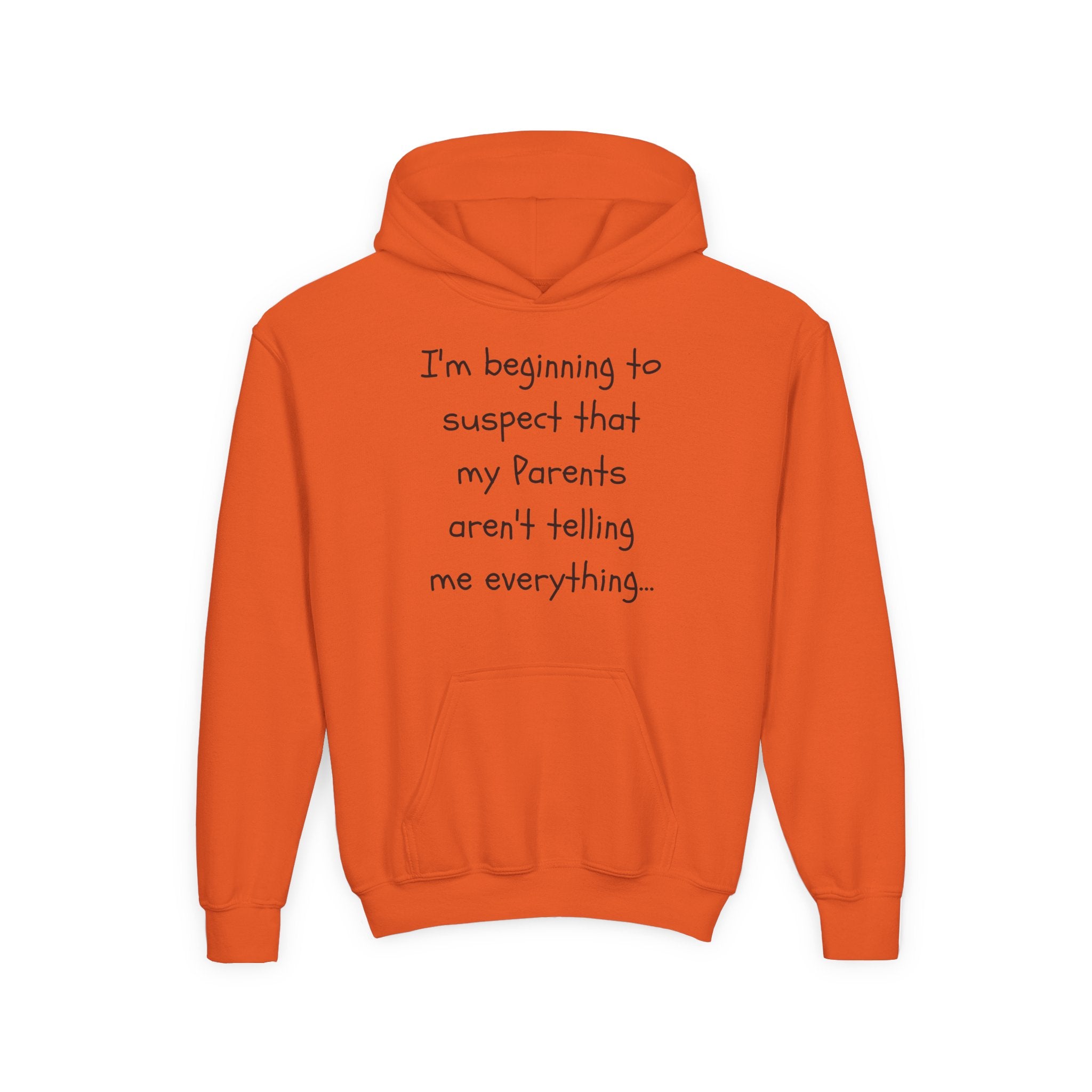 Youth Hoodie — "I'm beginning to suspect that my Parents aren't telling me everything." Funny Kid Hoodie